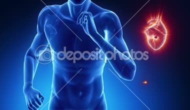 kalp kavramı içinde fitness yendi.