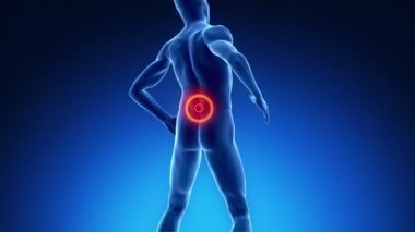 x-ışını görünümünde sırt ağrısı