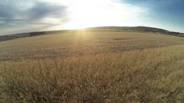 ? çayır üzerinde geri al