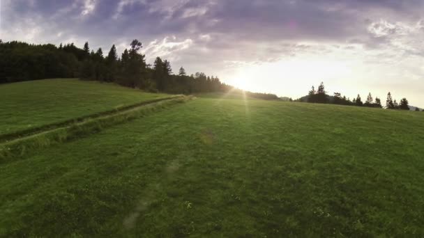 Zonsondergang over weide — Stockvideo