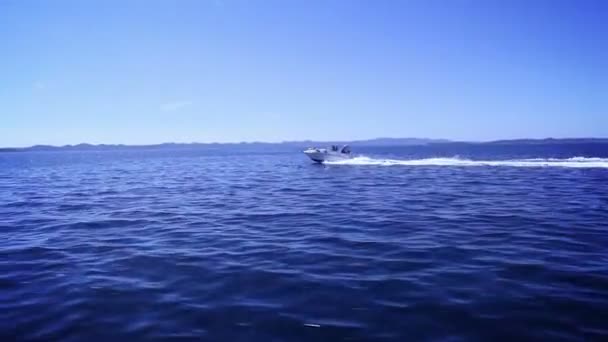 Fast boat steady waves — Stock Video