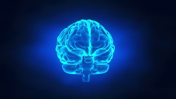 Anatomie lidského mozku