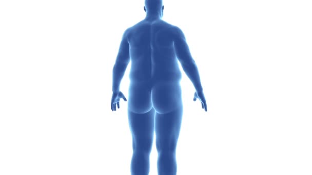 Muž - z obezity tenký — Stock video