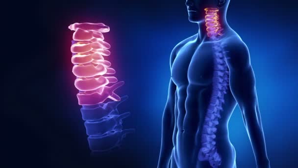 Ver las imágenes de origen