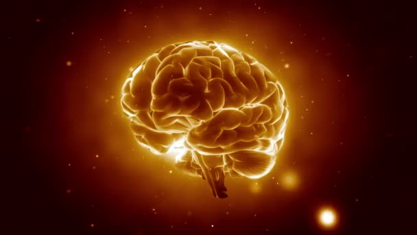Пульсирование большого мозга — стоковое видео
