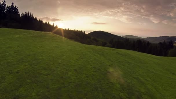 Prado ao pôr do sol — Vídeo de Stock