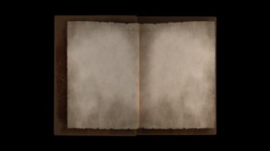 Eski kitabında sayfaları çevirme