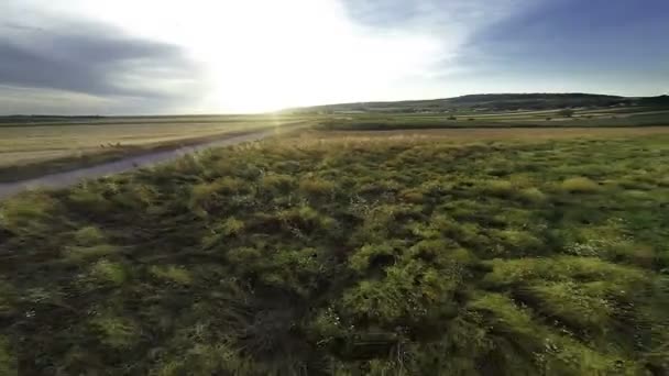 Solnedgång över ängen — Stockvideo