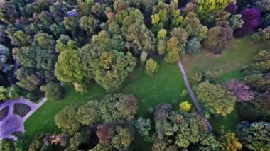 Park üstten ağaçlarda