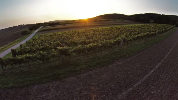 Prairie et champs au coucher du soleil — Video