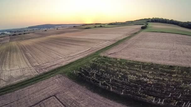 Repülés alatt a mezők, naplemente — Stock videók