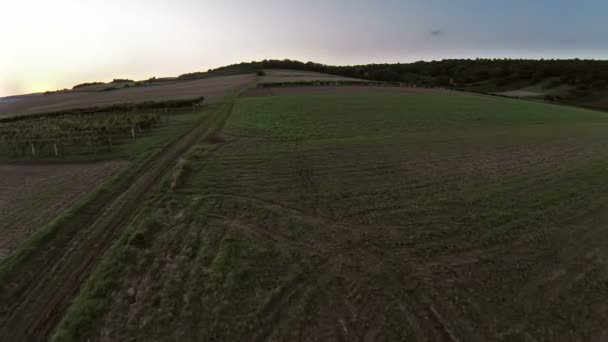 Weide en velden in de zonsondergang — Stockvideo