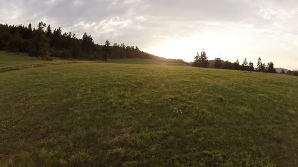 Sunset over meadow — Stock Video