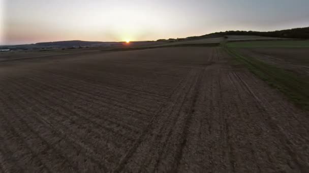 Meadow and fields in sunset — Stock Video