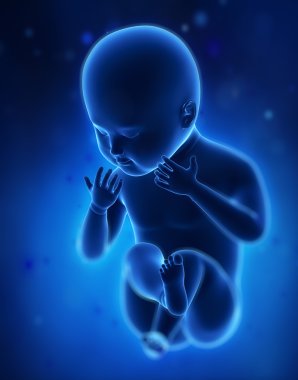 Mavi fetüs bebek