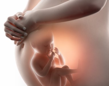 Fetus kavramı