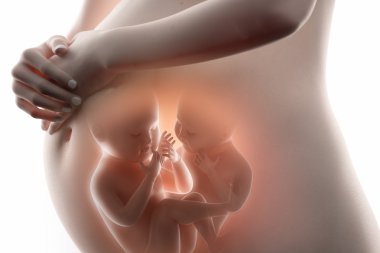 Fetus kavramı
