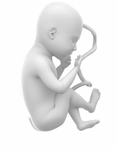 胎儿婴儿 — 图库照片