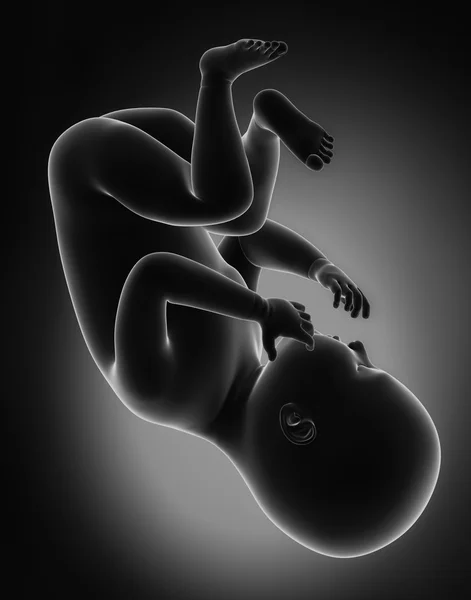 胎児のコンセプト — ストック写真