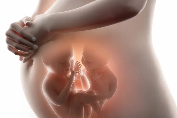 Foetus concept — Stockfoto