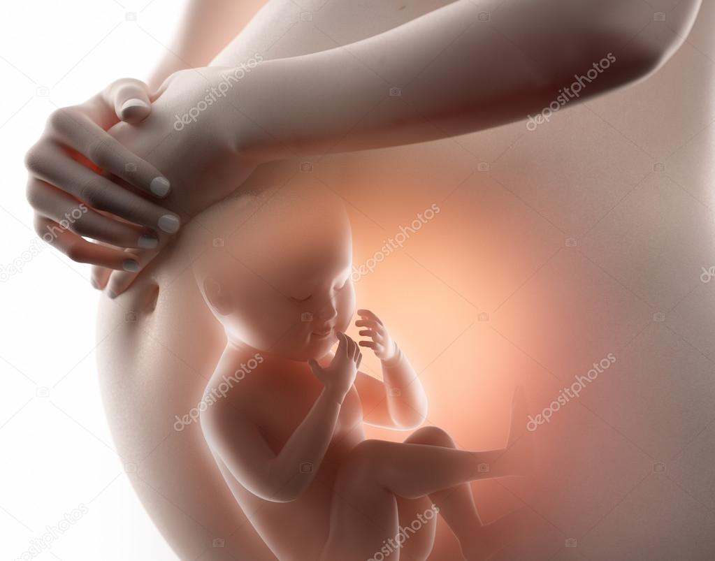 Fetus  concept