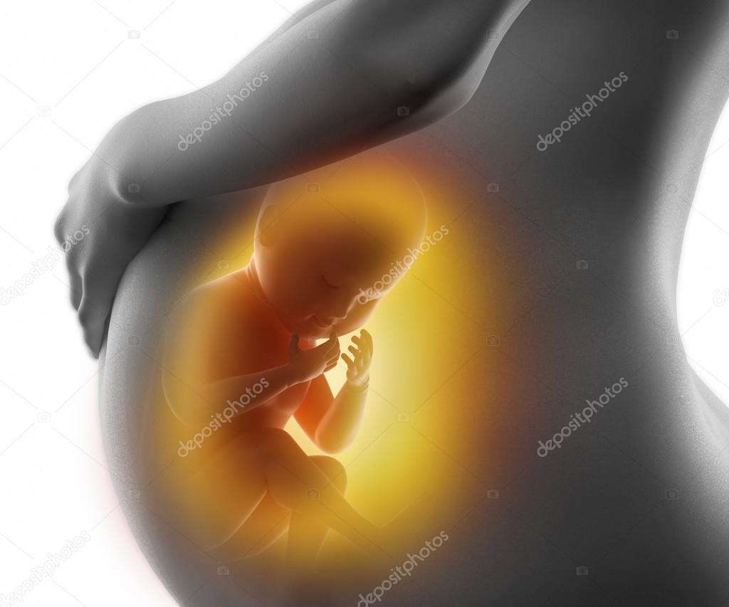 Pregnant woman with fetus