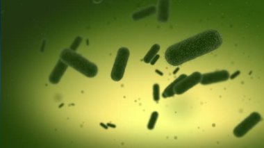 Çeşitli bakteri saldıran