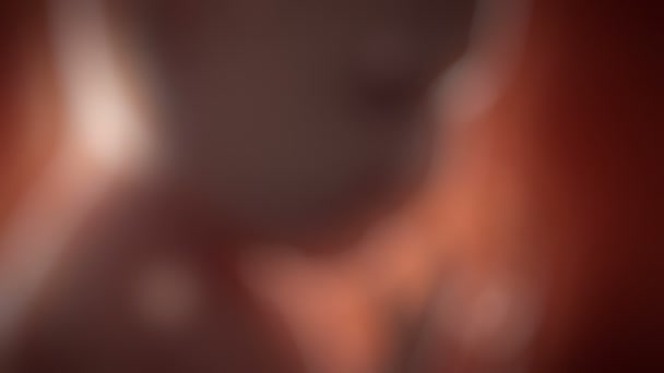 Ребёнок внутри беременной женщины — стоковое видео