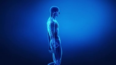 Adam hareket omurga üzerinde duruldu