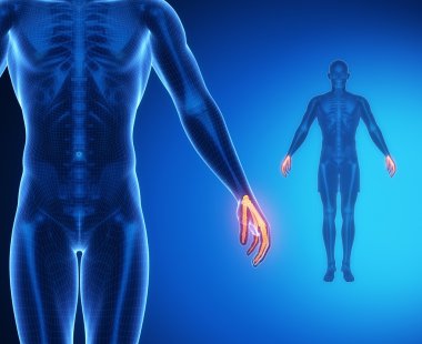 WRIST bones anatomy scan