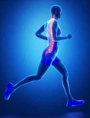 SPINE of running man
