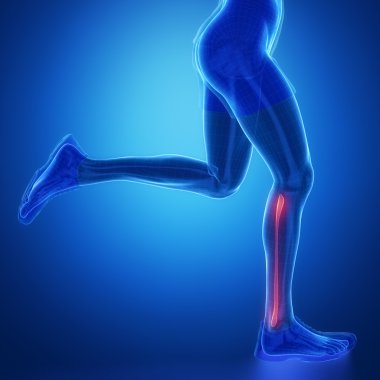 Running male leg scan
