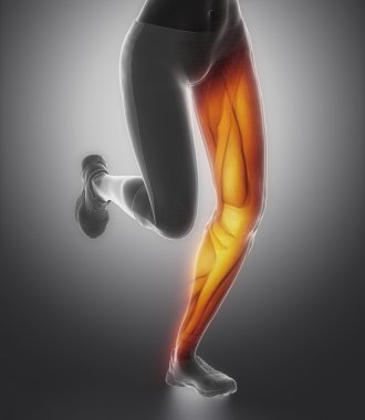 Bacak kas anatomisi ile çalışan kadın