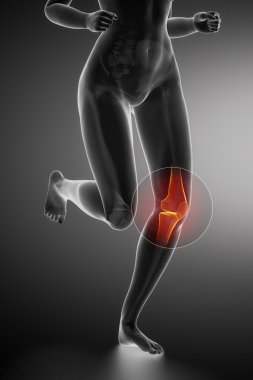Diz anatomisi ile çalışan kadın