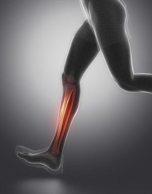 Tibia fibula anatomi ile çalışan adam