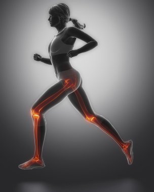 Jogging woman with legs anatomy clipart