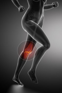 Diz anatomisi ile çalışan kadın