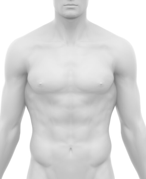 Белое обнаженное тело мужчины
