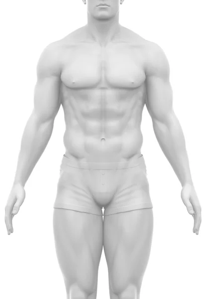 White naked male body — Stock Photo, Image