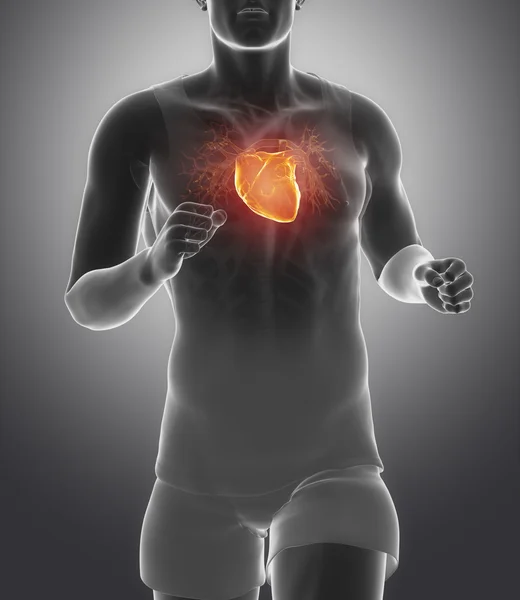 Athletic running man with healhy heart — Stock Photo, Image