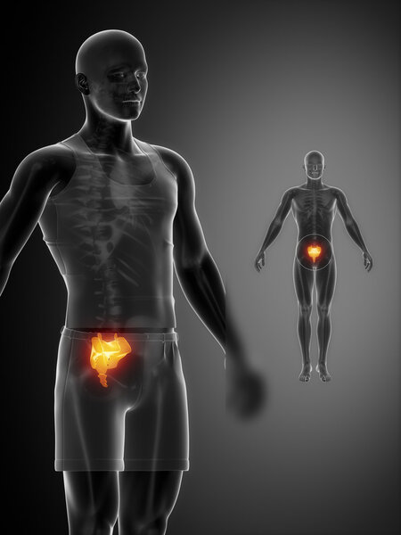 Сканирование кости SACRUM
