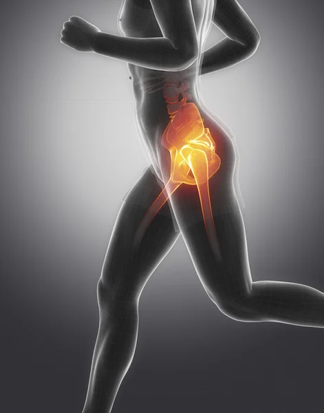 Futás emberi a csípő anatómiája — Stock Fotó