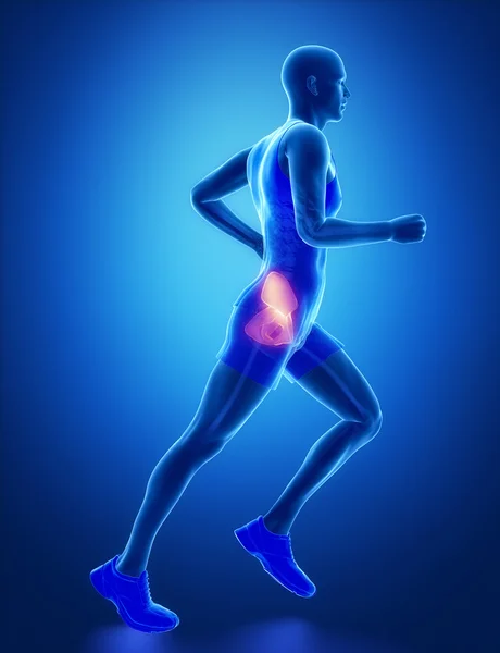 Hip anatomy of running man — Stockfoto