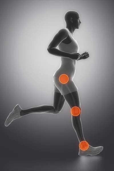 Anatomía de las articulaciones de cadera, tobillo y rodilla — Foto de Stock