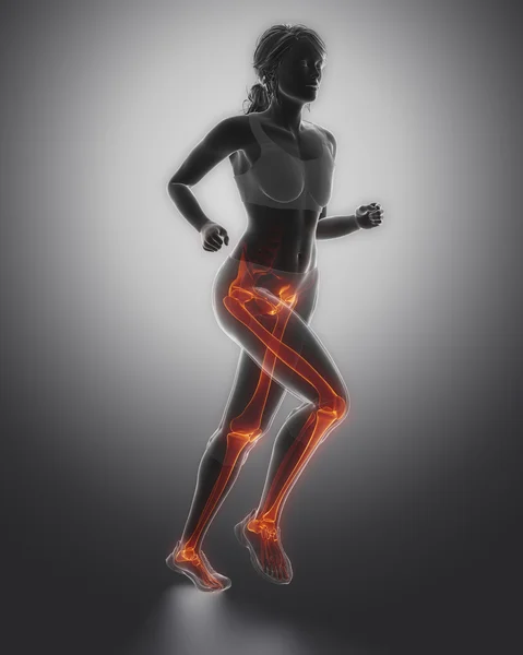 Bacak kemikleri anatomisi — Stok fotoğraf