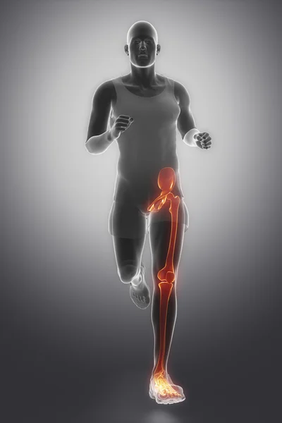 Running man with Leg joints anatomy — Stock Photo, Image