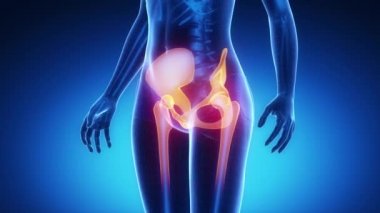 Kalça eklemi kemik iskelet x-ray tarama mavi