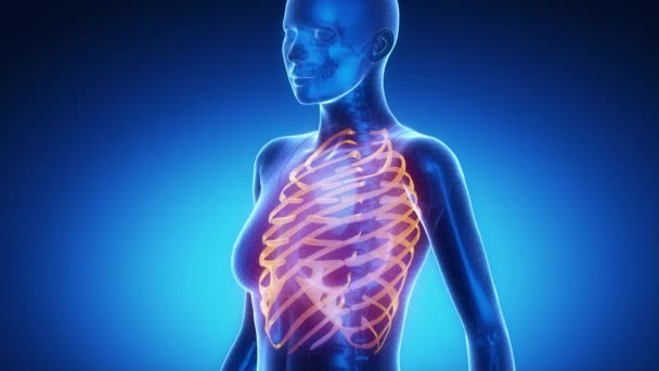 RIBS esqueleto ósseo varredura de raios-x em azul — Vídeo de Stock