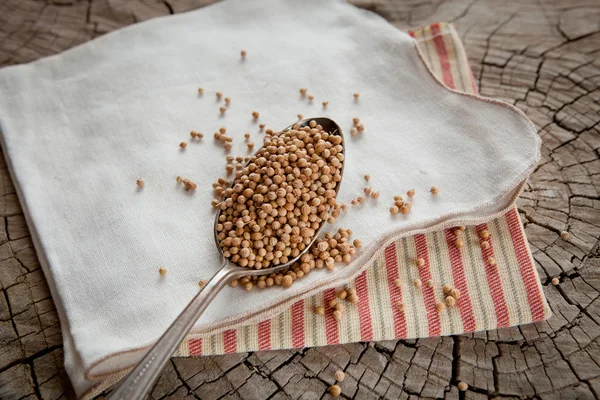 Coriander seeds in a spoon — Stock Photo, Image