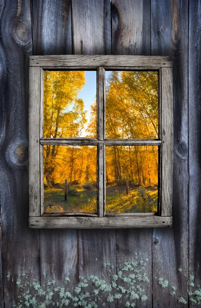 Fenstergestaltung im Herbst — Stockfoto